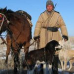 raza de caballo kazajo